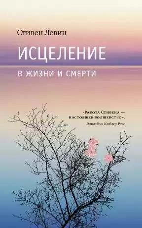 Левин Стивен - Исцеление в жизни и смерти