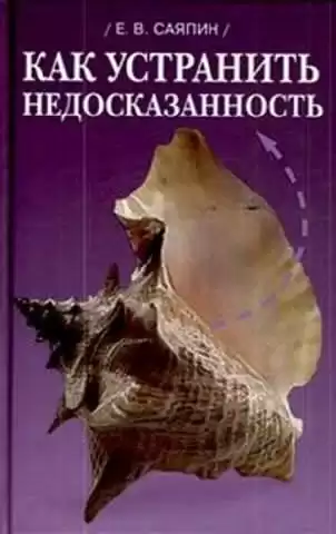 Саяпин Евгений - Как устранить недосказанность
