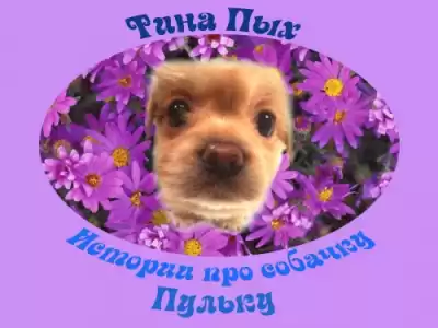Пых Тина - Истории про собачку Пульку