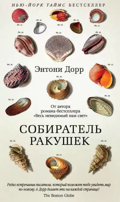 Дорр Энтони - Собиратель ракушек