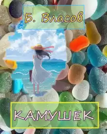 Власов Б. - Камушек