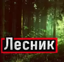 Устинов Александр - Лесник