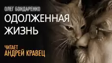 Бондаренко Олег - Одолженная жизнь