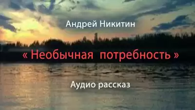 Никитин Андрей - Необычная потребность