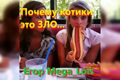 Mega luis Егор - Почему котики-это зло