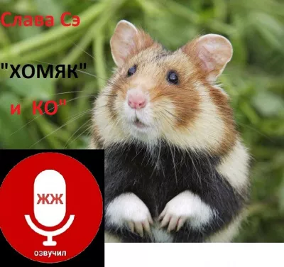 Сэ Слава – Хомяк и КО