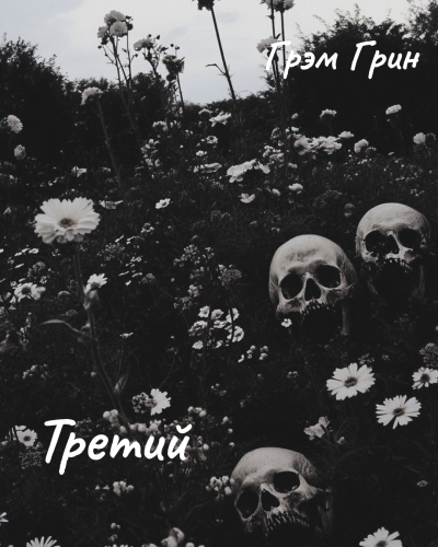 Грин Грэм – Третий