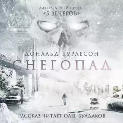 Бурлесон Дональд - Снегопад